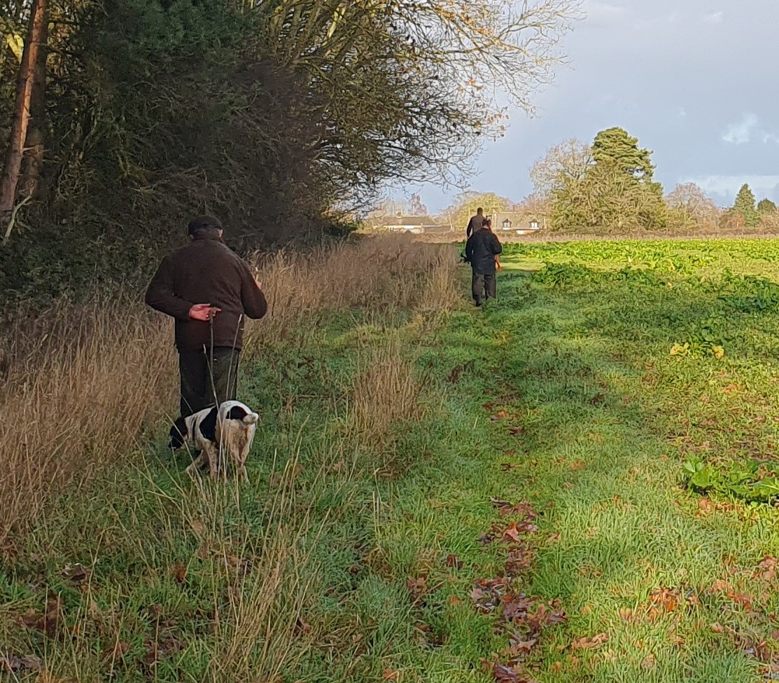 People walking with a dog along a grassy field edge beside woodland